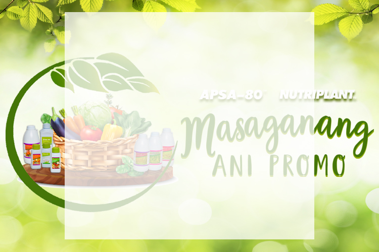 Masaganang Ani - Banner Mobile.jpg Masaganang Ani - Banner Mobile.jpg