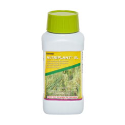  Nutriplant SL