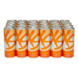 XS™ Energy Drink - Citrus (1 Case)